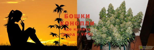 MESCALINE Зерноград