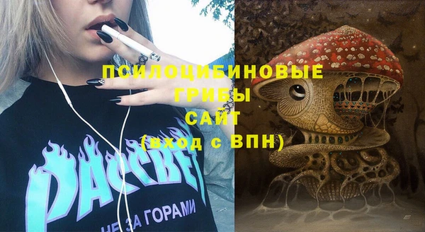 2c-b Зеленодольск